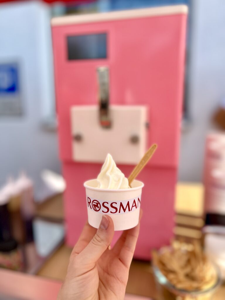 ice-cream-catering-rental-party