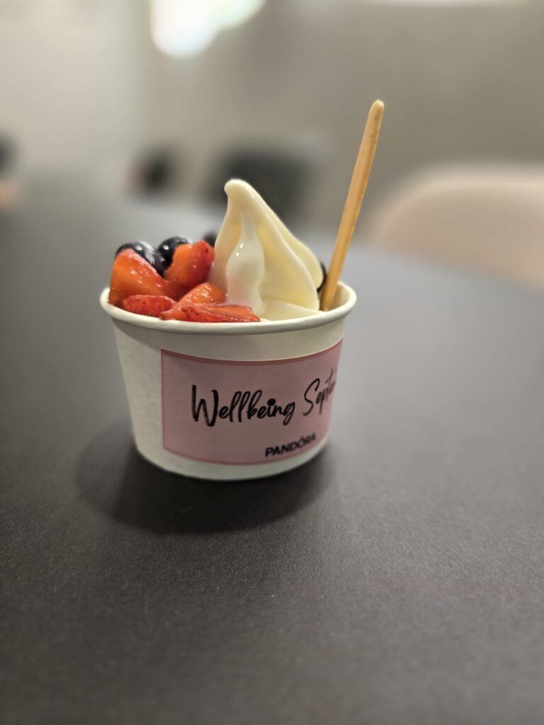soft-serve-ice-ream-for-rent